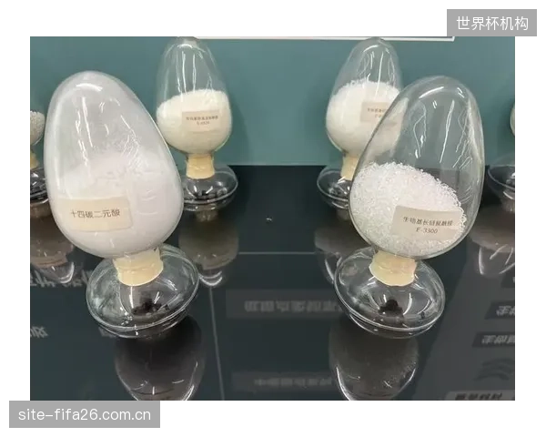 专利壁垒下的创新迟滞:头部品牌利用高压成型和树脂配方的专利壁垒,虽巩固了自身地位,但也限制了相关技术的扩散和应用 专利壁垒下的创新迟滞:头部品牌利用高压成型和树脂配方的专利壁垒,虽巩固了自身地位,但也限制了相关技术的扩散和应用